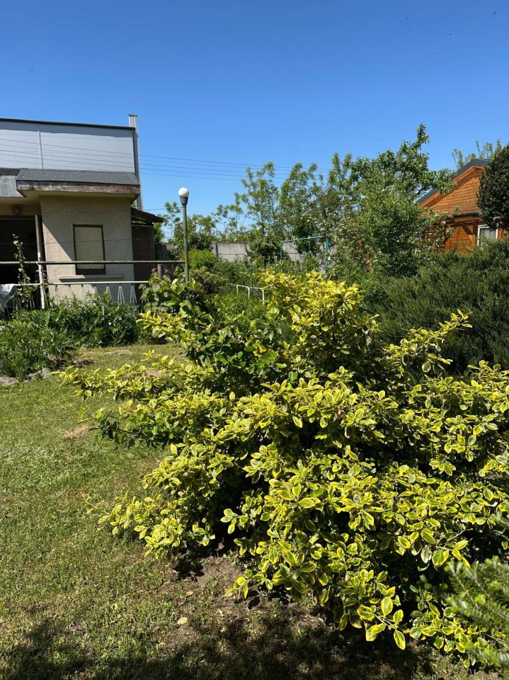 Działka rod Luboń. Zdjęcie 7