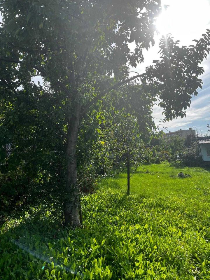 Działka rod Chojnice, ul. Kościerska. Zdjęcie 3