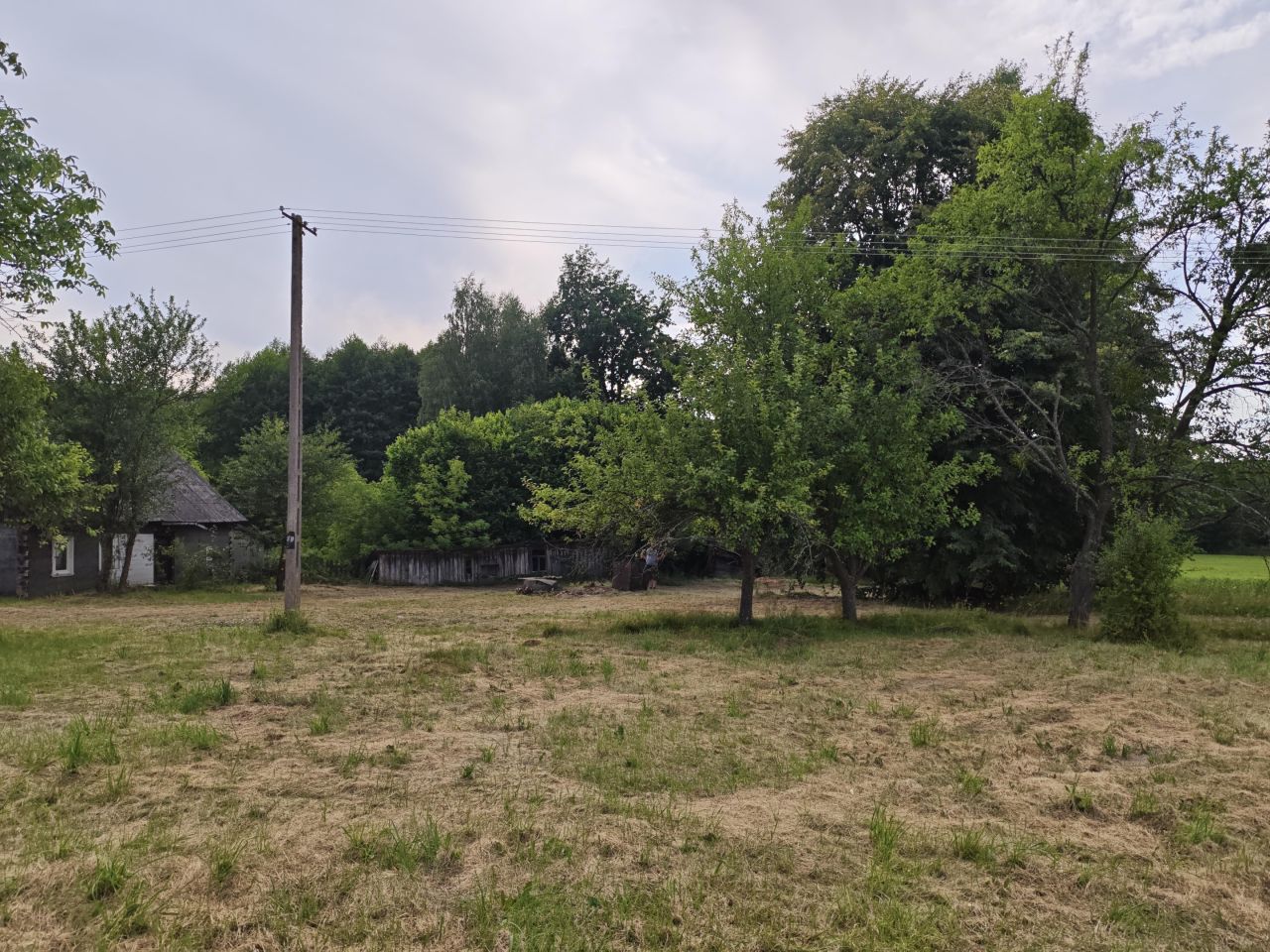 Działka rolno-budowlana Stawki Szkorutyniec. Zdjęcie 15