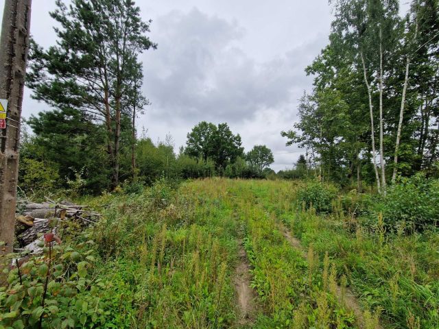 Działka budowlana Rogóż. Zdjęcie 1