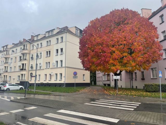 Mieszkanie 2-pokojowe Oleśnica Centrum, ul. Ignacego Daszyńskiego. Zdjęcie 1