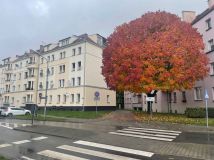 Mieszkanie 2-pokojowe Oleśnica Centrum, ul. Ignacego Daszyńskiego