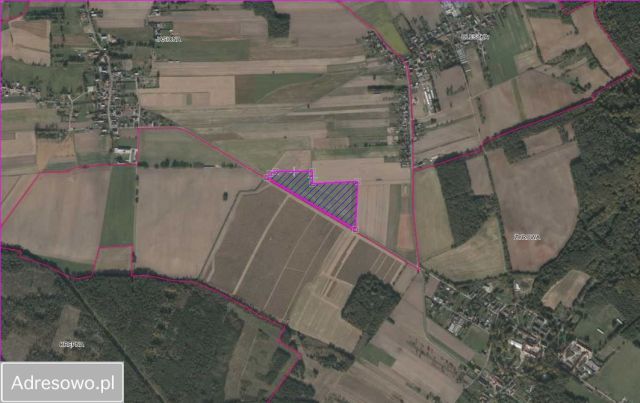 Działka rolna Jasiona. Zdjęcie 1