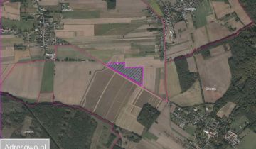 Działka rolna Jasiona