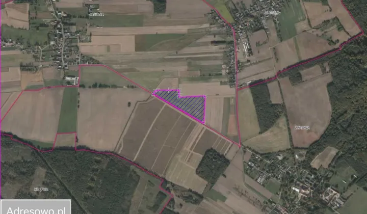 Działka rolna Jasiona