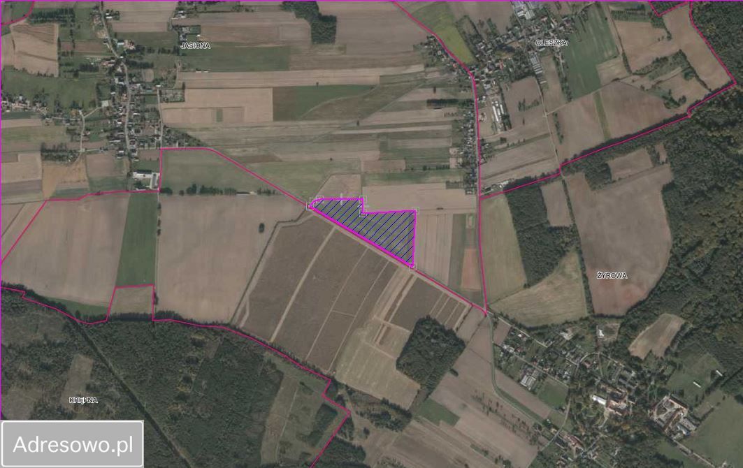 Działka rolna Jasiona