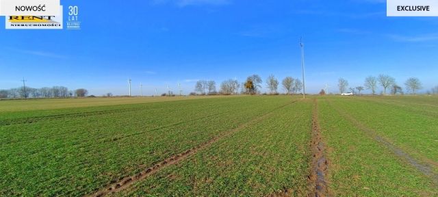 Działka siedliskowa Parsów. Zdjęcie 4