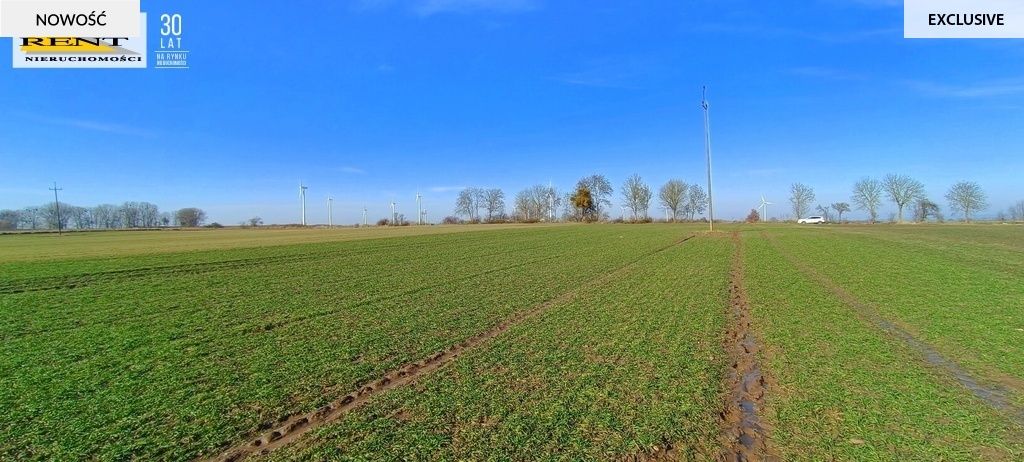 Działka siedliskowa Parsów. Zdjęcie 4