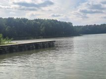 Działka leśna Zbiczno. Zdjęcie 4