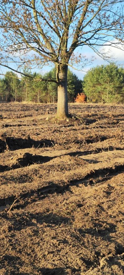 Działka budowlana Kosówka