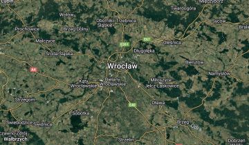 Lokal Wrocław Krzyki