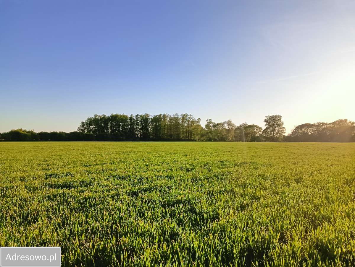 Działka budowlana Cykowo. Zdjęcie 6