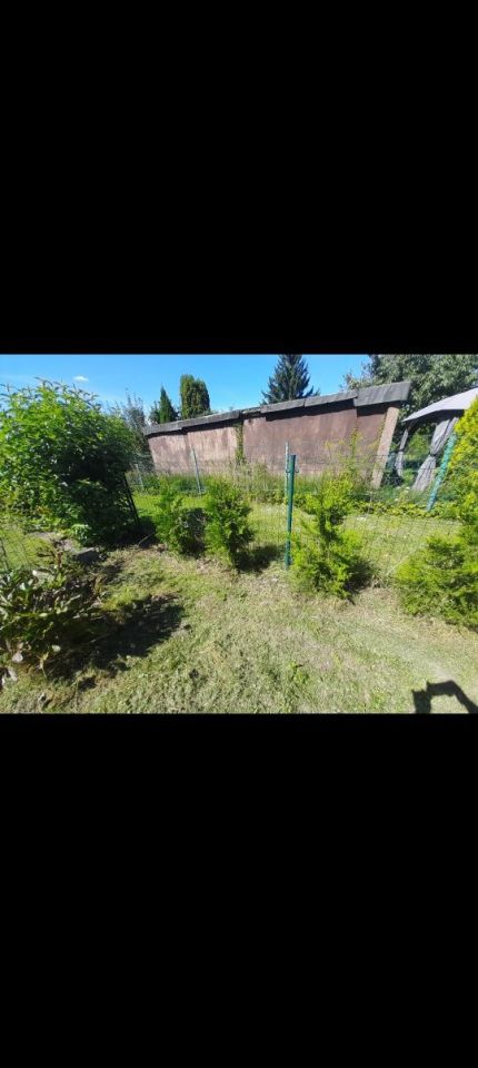 Działka rod Gniezno. Zdjęcie 7