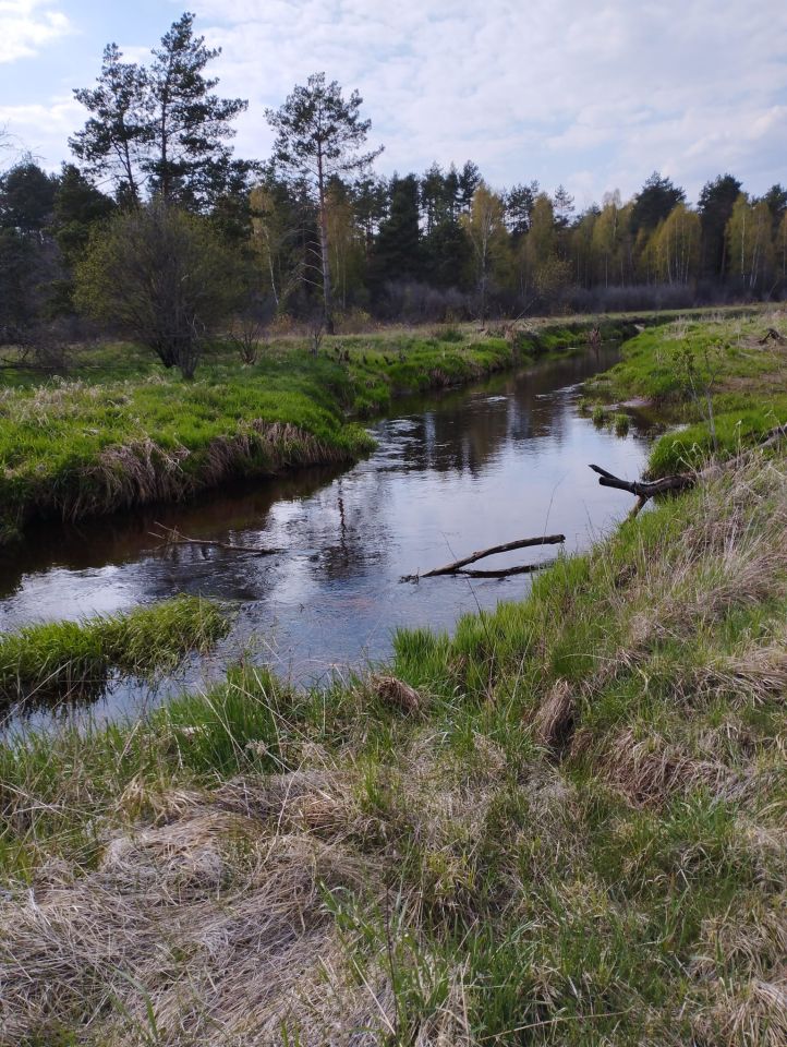 Działka rolna Kozia Wieś. Zdjęcie 2