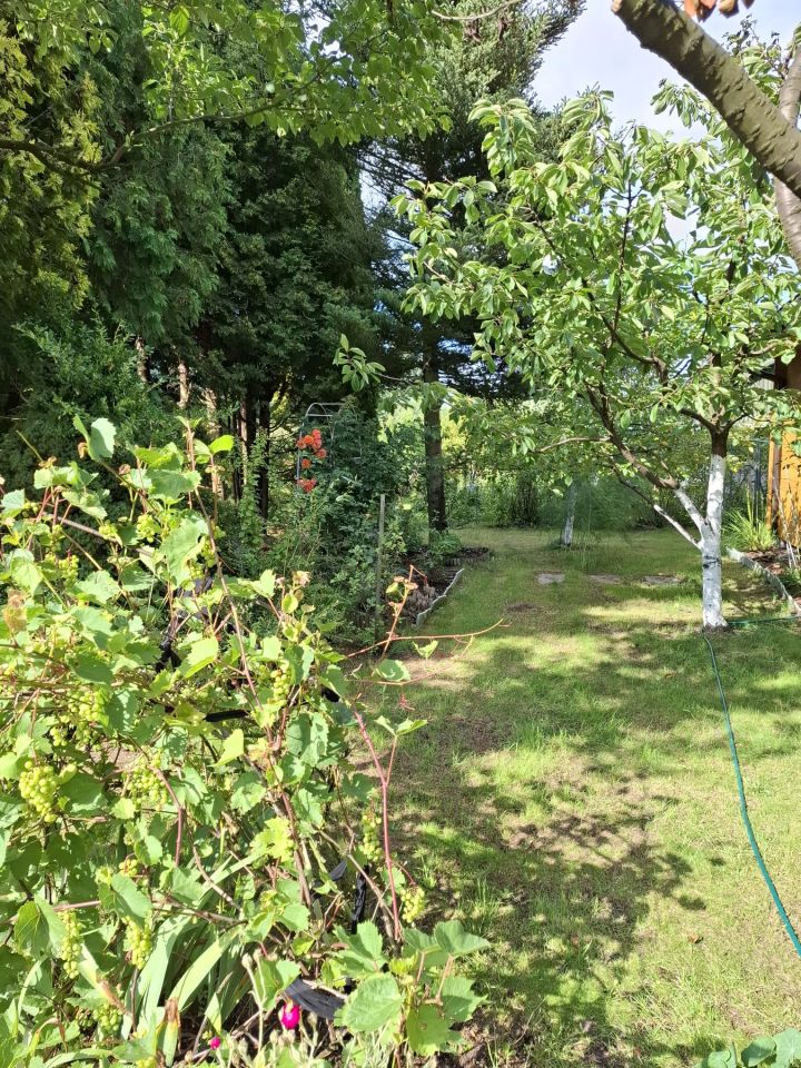 Działka rod Wola Mrokowska, ul. Ogrodowa. Zdjęcie 8