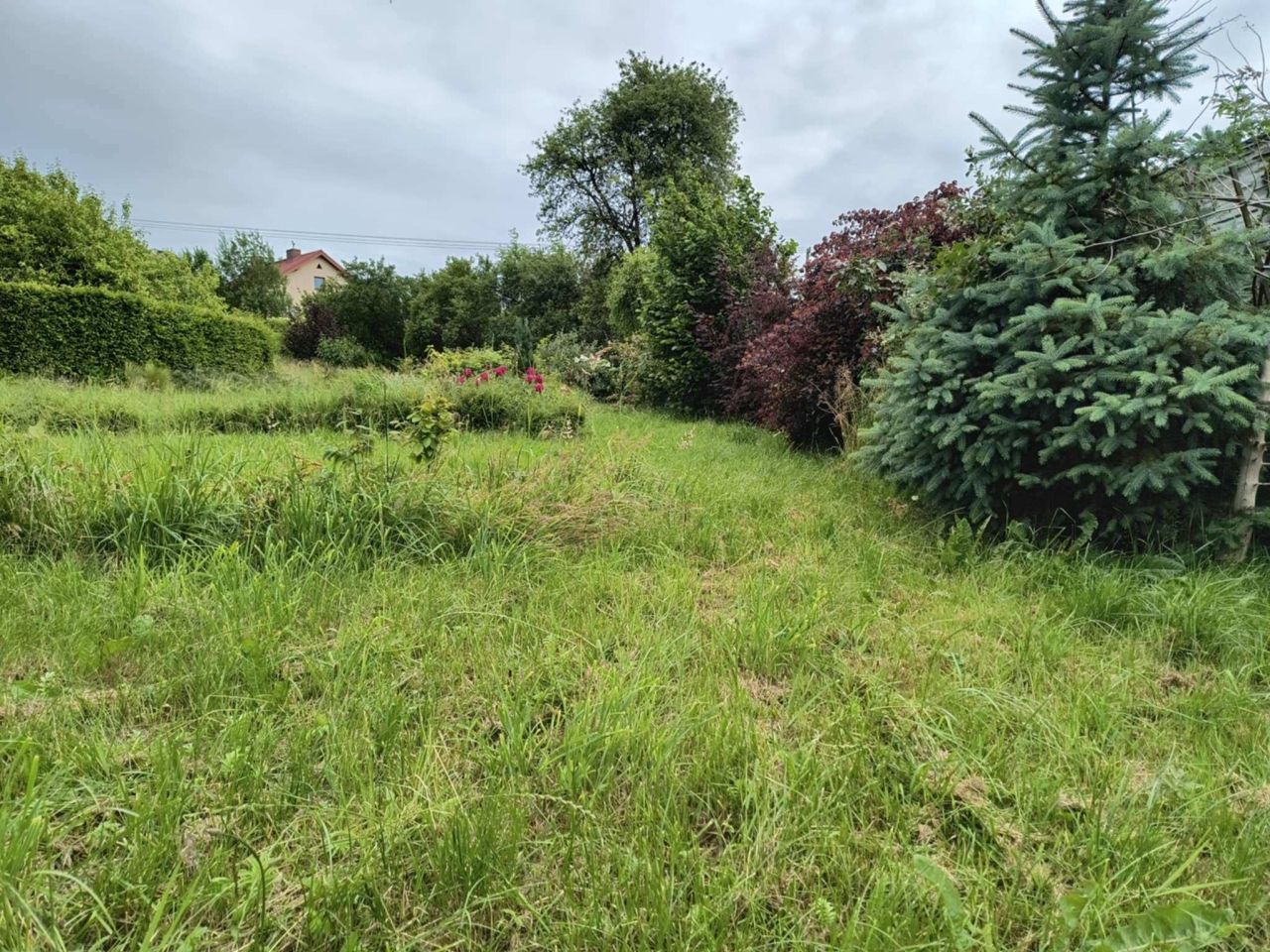 Działka siedliskowa Warzno, ul. Na Skarpie. Zdjęcie 10