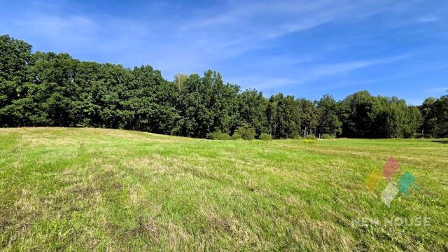 Działka Rozwady. Zdjęcie 4