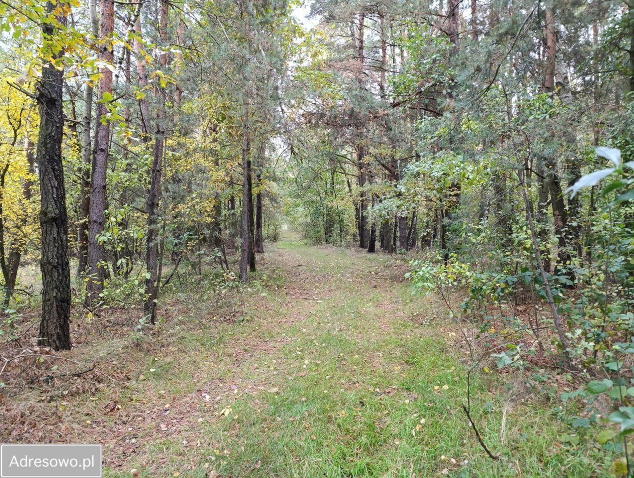 Działka budowlana Piaski. Zdjęcie 7