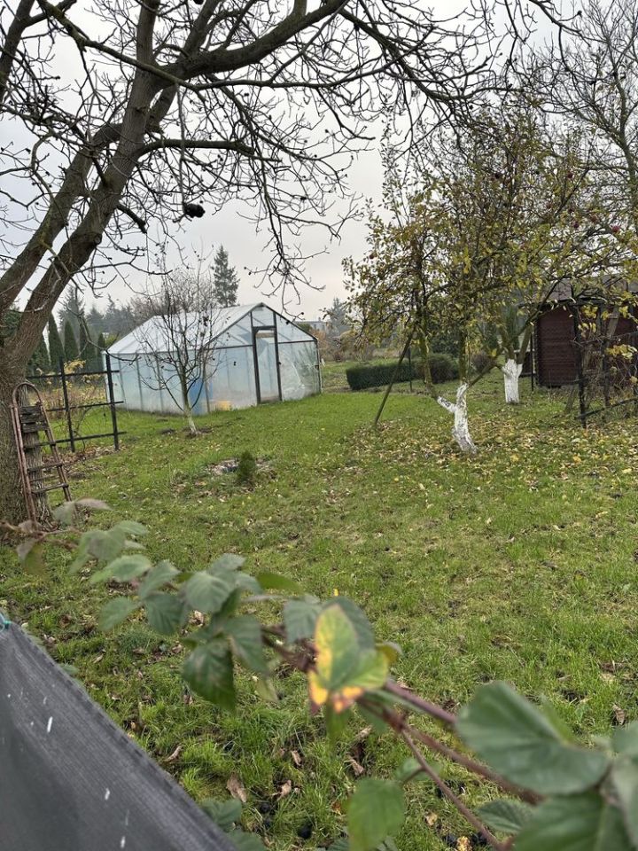 Mieszkanie 2-pokojowe Olszewka. Zdjęcie 4