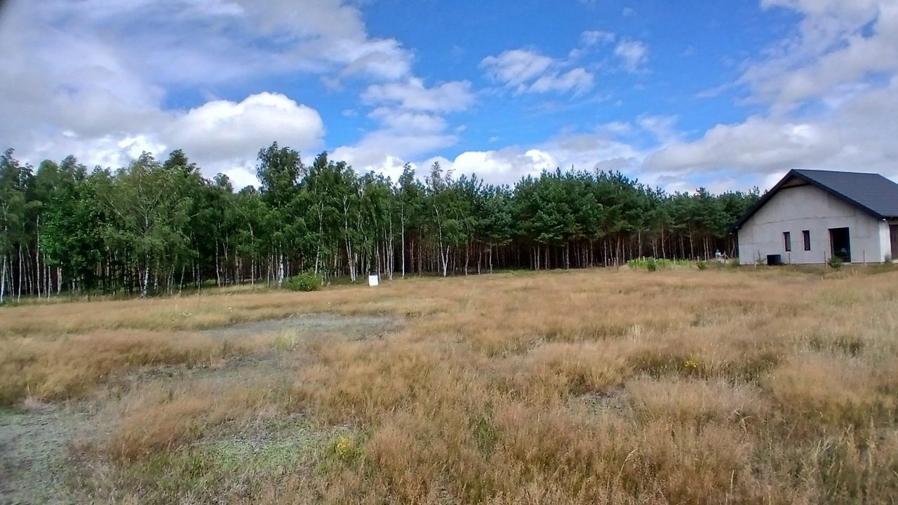 Działka leśna Żydowo. Zdjęcie 7