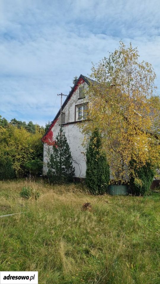 dom wolnostojący, 2 pokoje Jagodzin. Zdjęcie 7