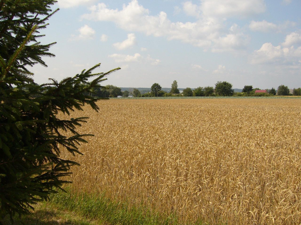 dom wolnostojący, 5 pokoi Brwilno, ul. Południowa. Zdjęcie 18