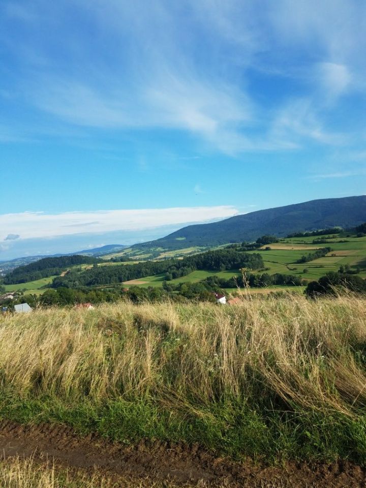 Działka Wilkowisko. Zdjęcie 7