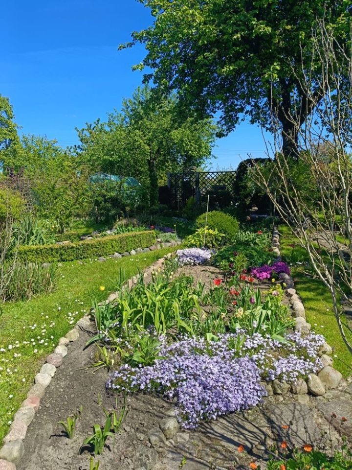 Działka rod Słupsk, ul. Gdańska. Zdjęcie 5