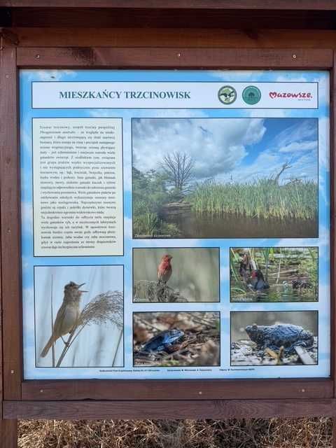 Działka rolna Brzuza. Zdjęcie 5