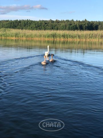 Działka rolna Huta Wielka. Zdjęcie 2
