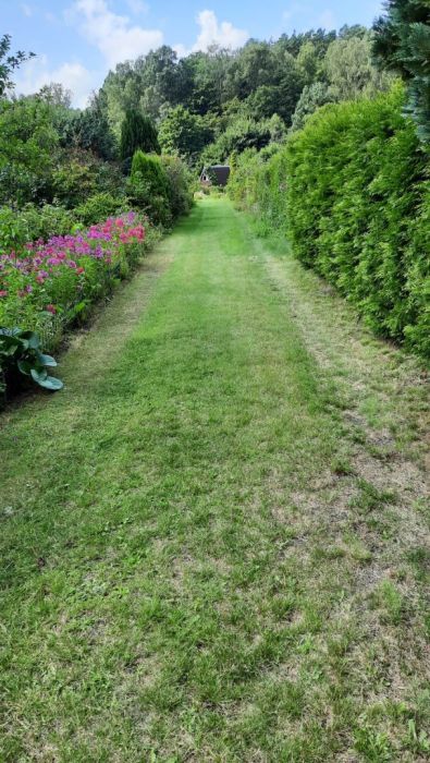 Działka rod Gdańsk Oliwa. Zdjęcie 13