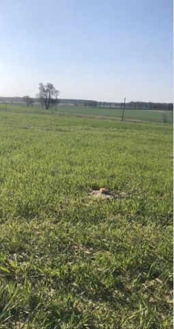 Działka budowlana Żabno, os. Zielone Wzgórze. Zdjęcie 1