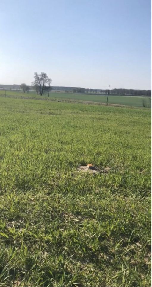 Działka budowlana Żabno, os. Zielone Wzgórze. Zdjęcie 1