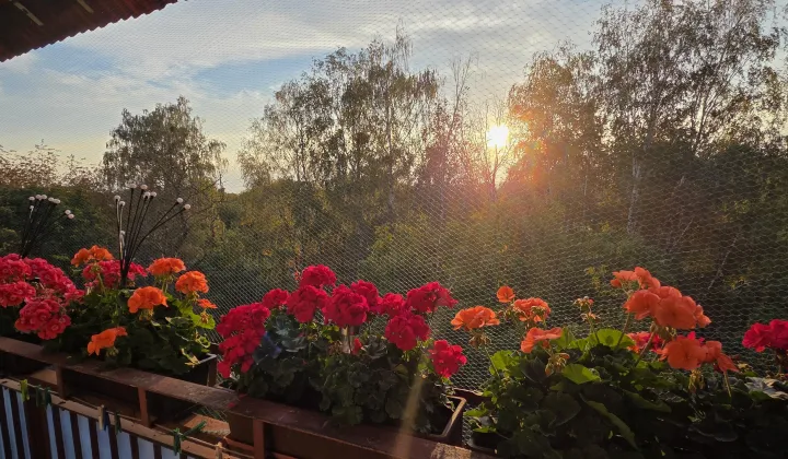 Mieszkanie 2-pokojowe Karczew, ul. Generała St. Grota Roweckiego