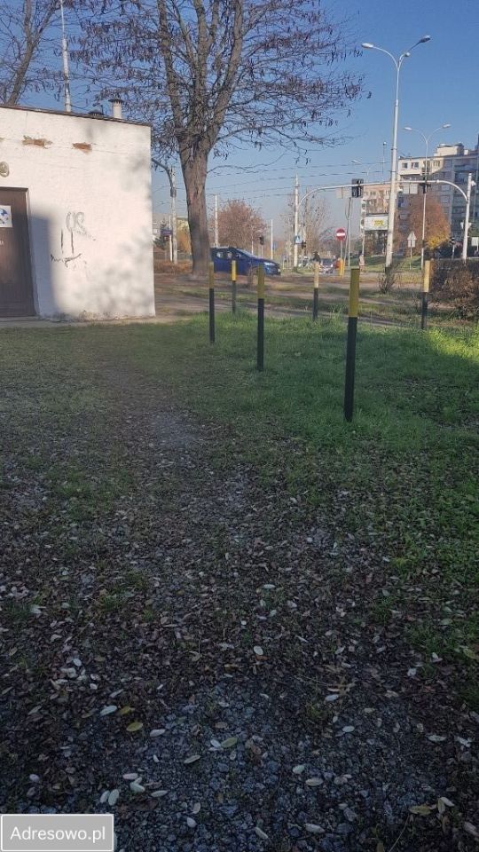 Lokal Wrocław Stare Miasto. Zdjęcie 6