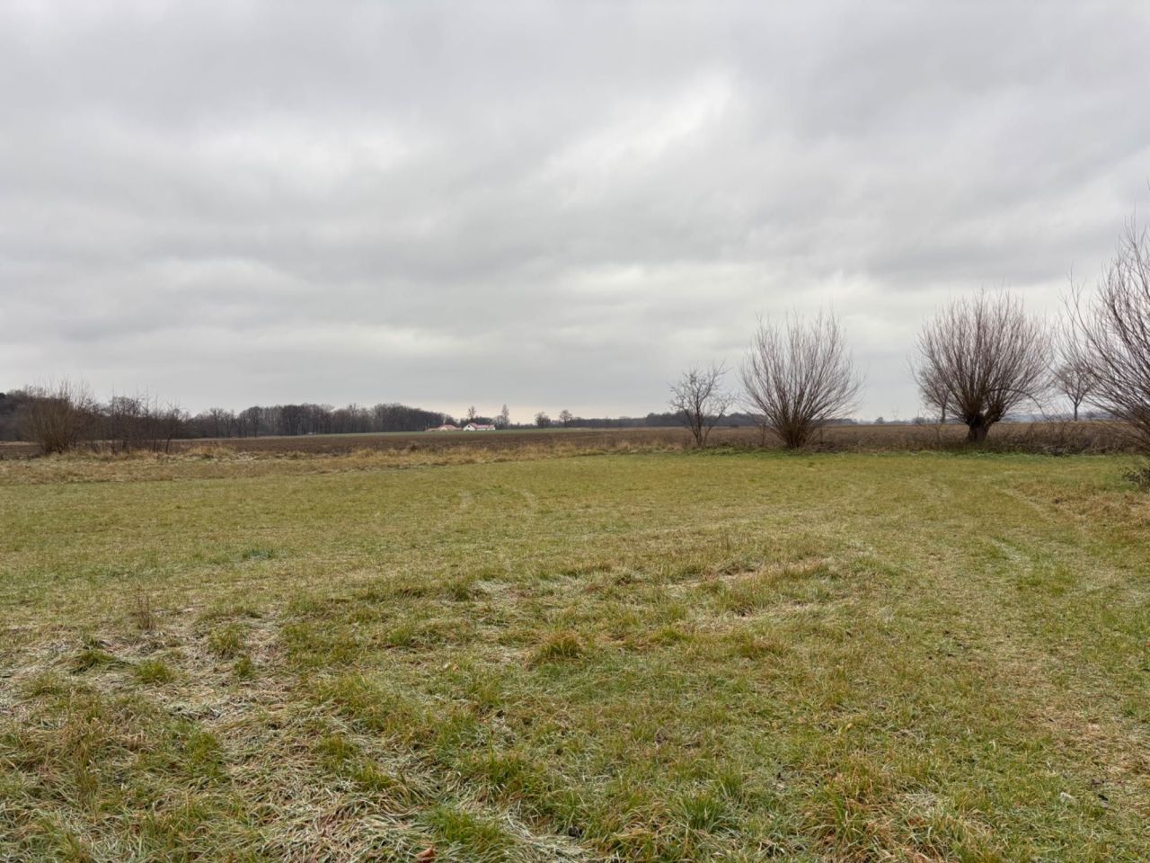 gospodarstwo Pieszyce. Zdjęcie 7