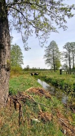 Działka rekreacyjna Podgać. Zdjęcie 1