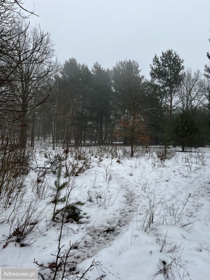 Działka rolno-budowlana Andrzejów. Zdjęcie 15