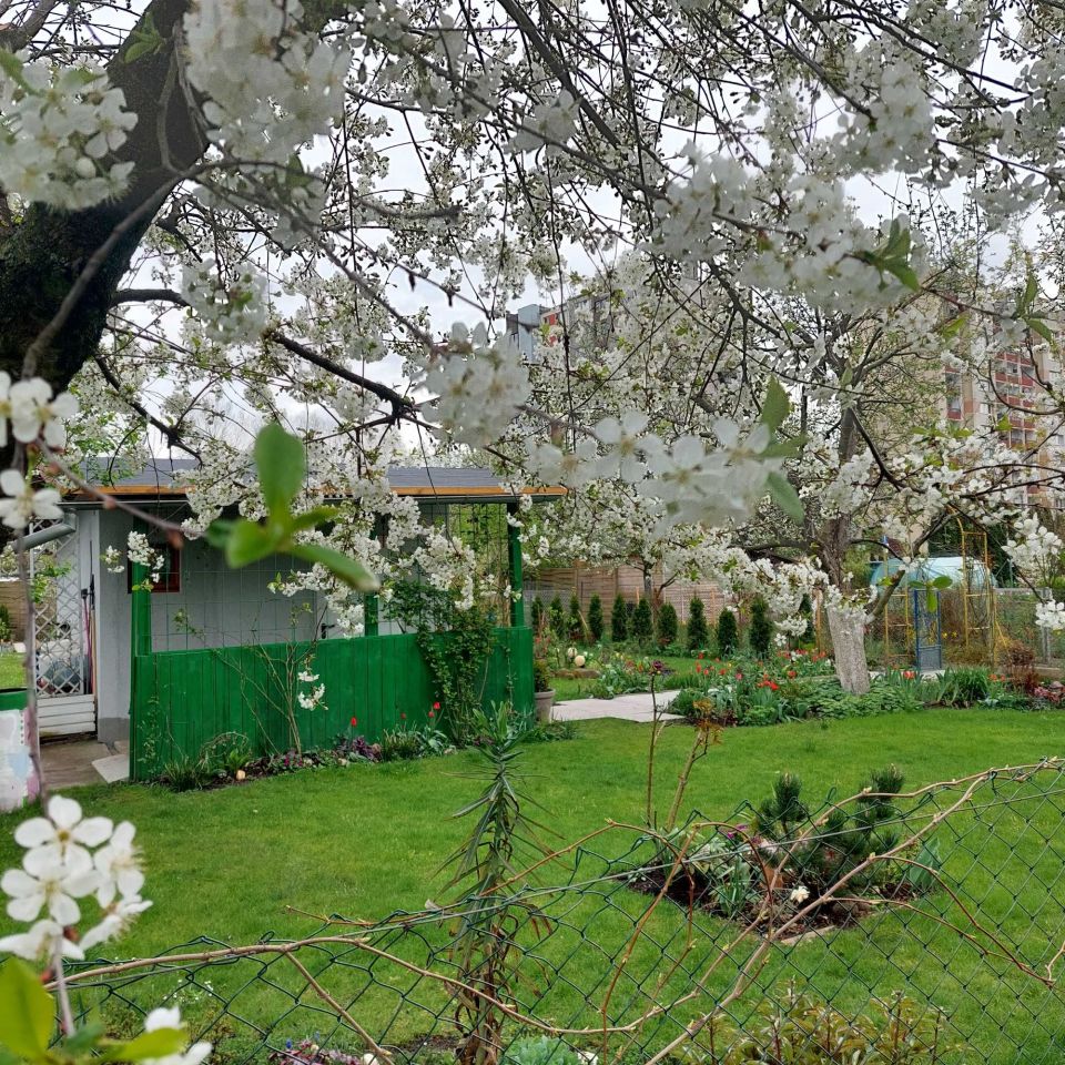 Działka rod Opole. Zdjęcie 1