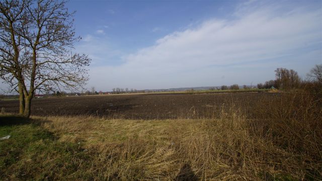 Działka rolna Węzina. Zdjęcie 6