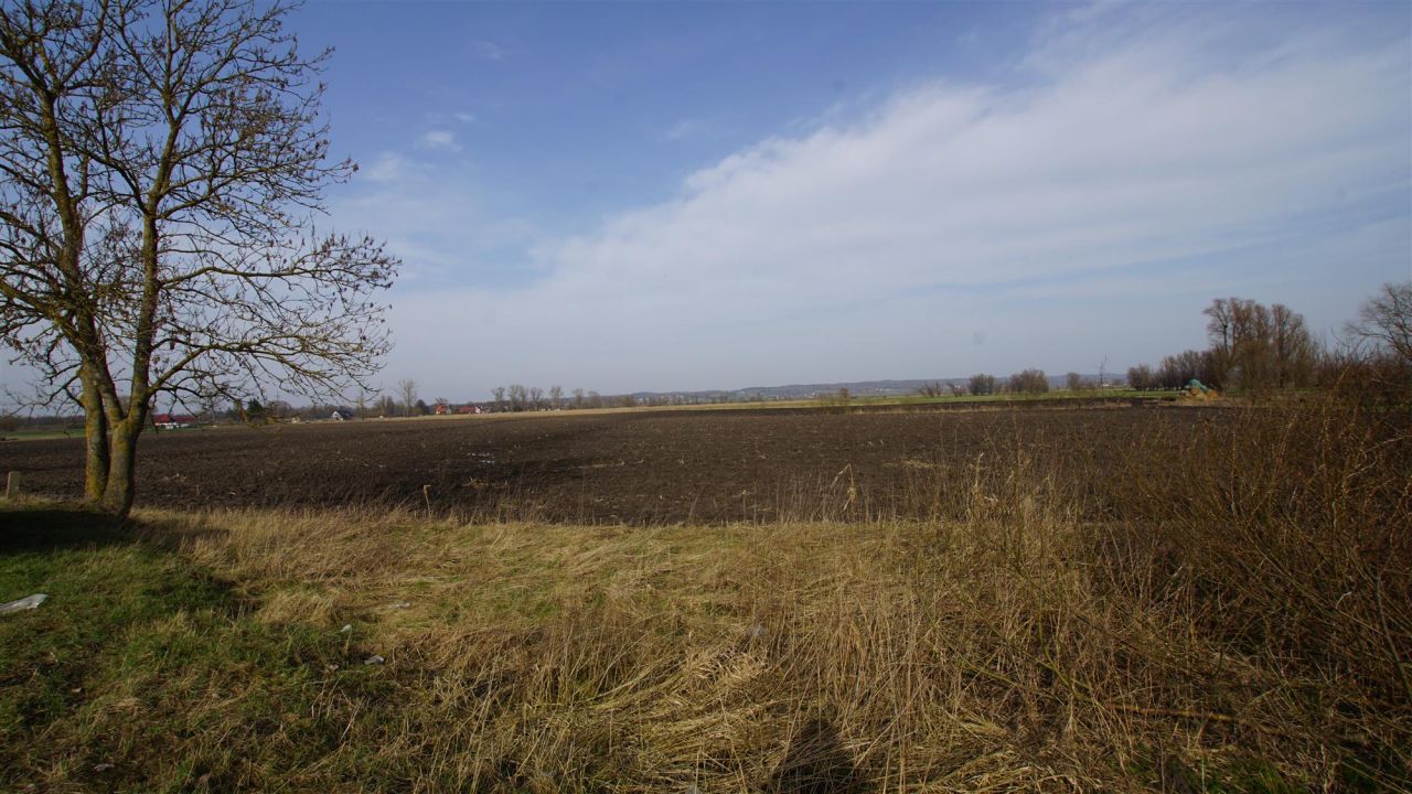 Działka rolna Węzina. Zdjęcie 6
