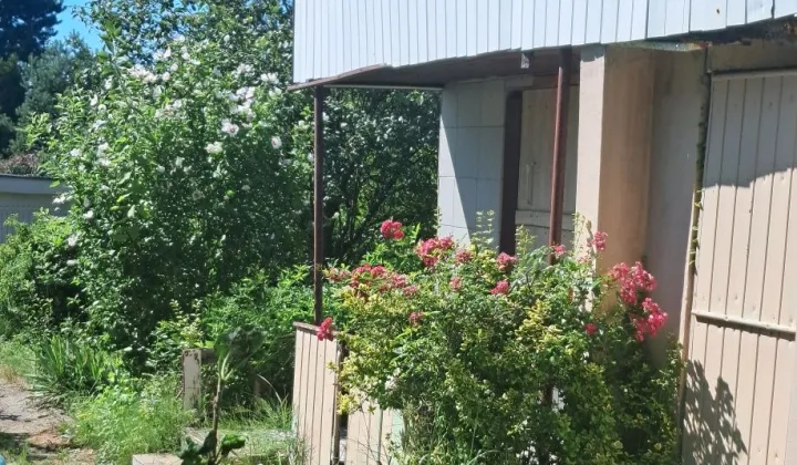 Działka rod Będzin Syberka