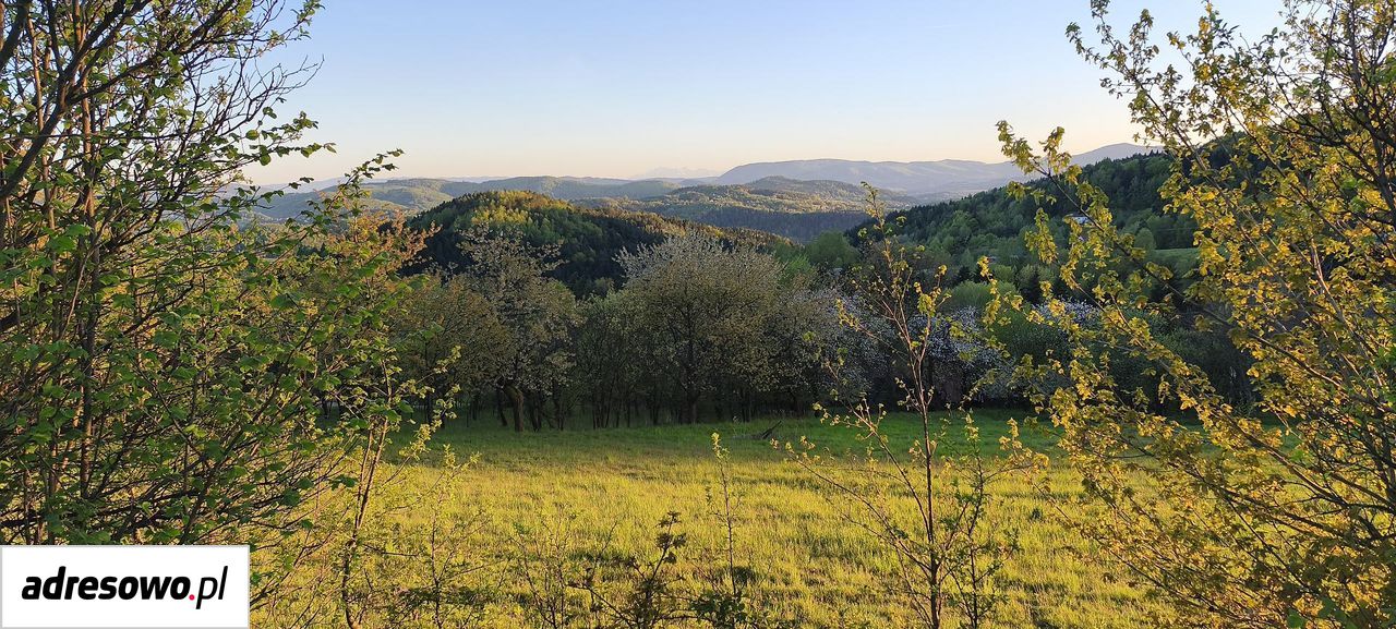 Działka budowlana Piaski-Drużków Chabalina. Zdjęcie 2