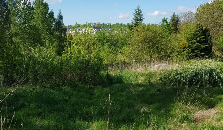 Działka rekreacyjna Pętkowice