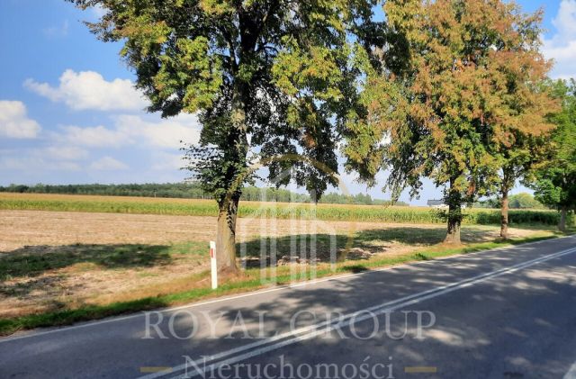 Działka rolna Rudno. Zdjęcie 8