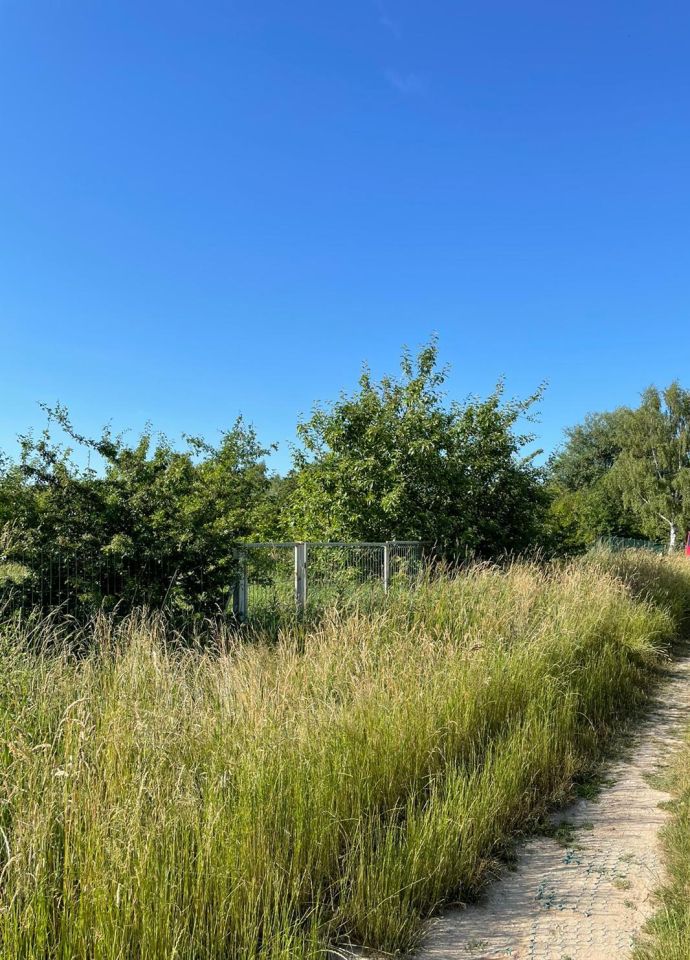 Działka rekreacyjna Niechorze. Zdjęcie 3