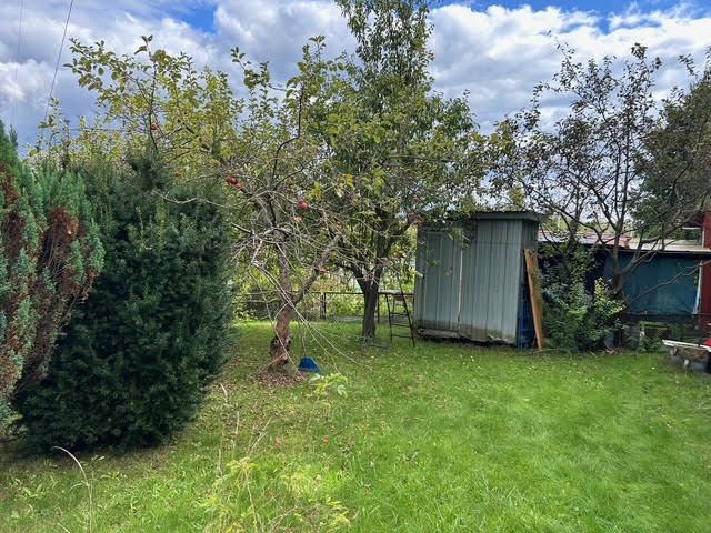 Działka rod Jastrzębie-Zdrój, ul. Chlebowa. Zdjęcie 6