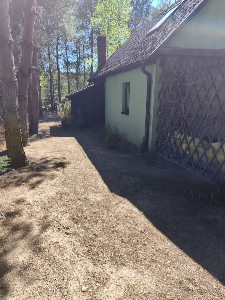 Działka rekreacyjna Zambski Kościelne, Leśna. Zdjęcie 6