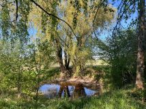 Działka budowlana Luboniek. Zdjęcie 4