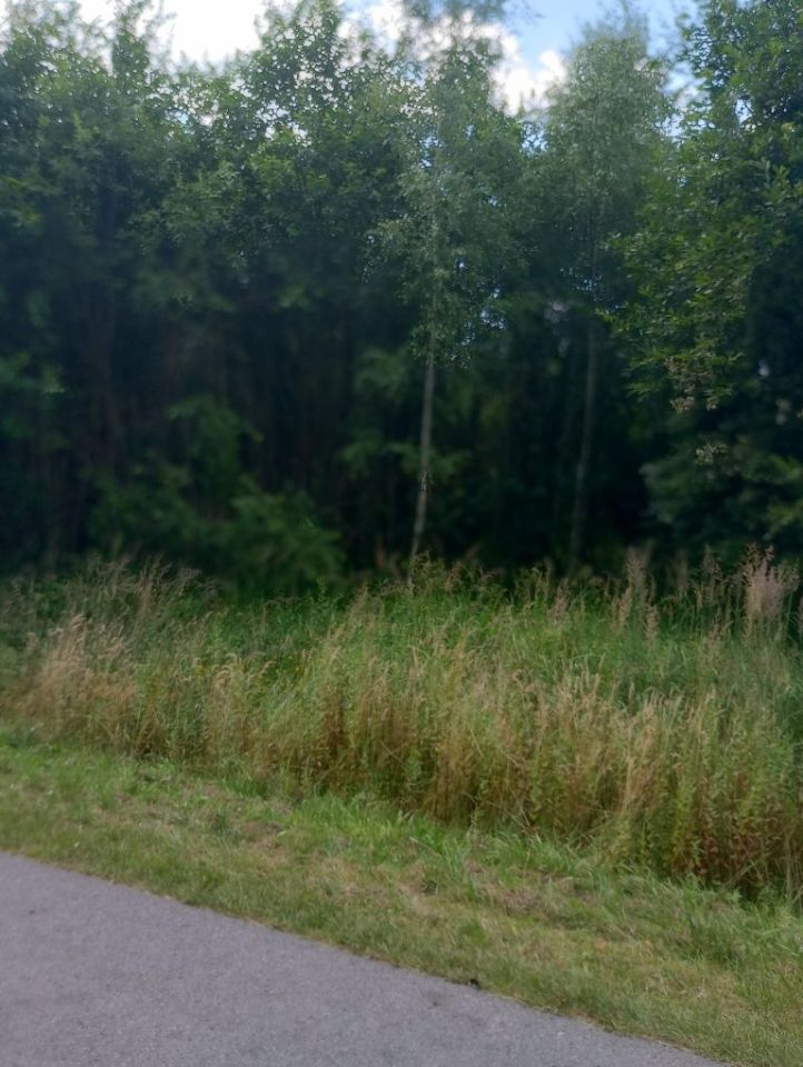 Działka rolna Marysin. Zdjęcie 3